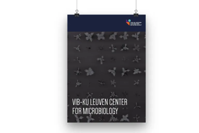 brochure CFM