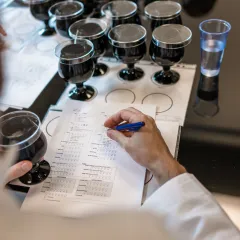 sensory analysis